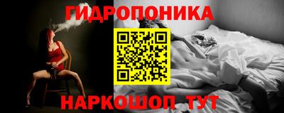спайс Славгород